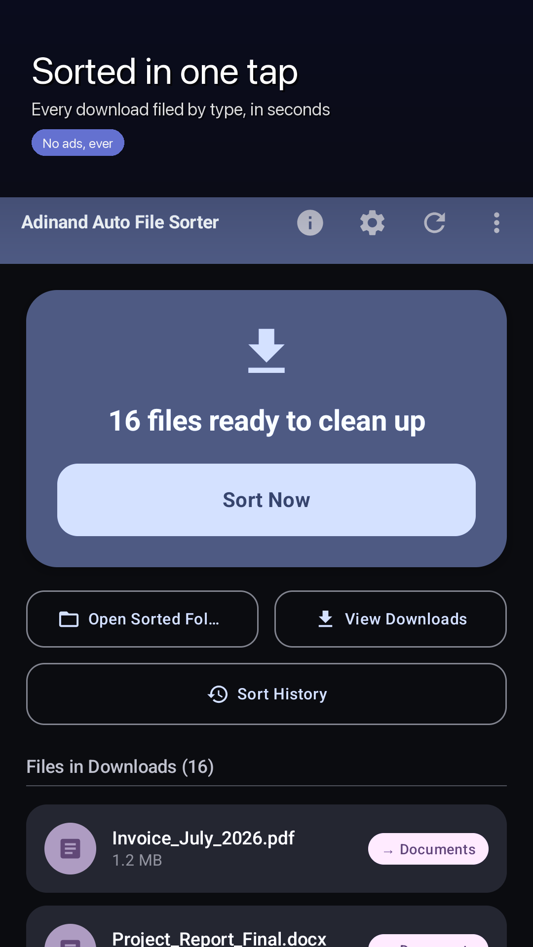 The app's home screen listing the files waiting in Downloads, with a Sort Now button