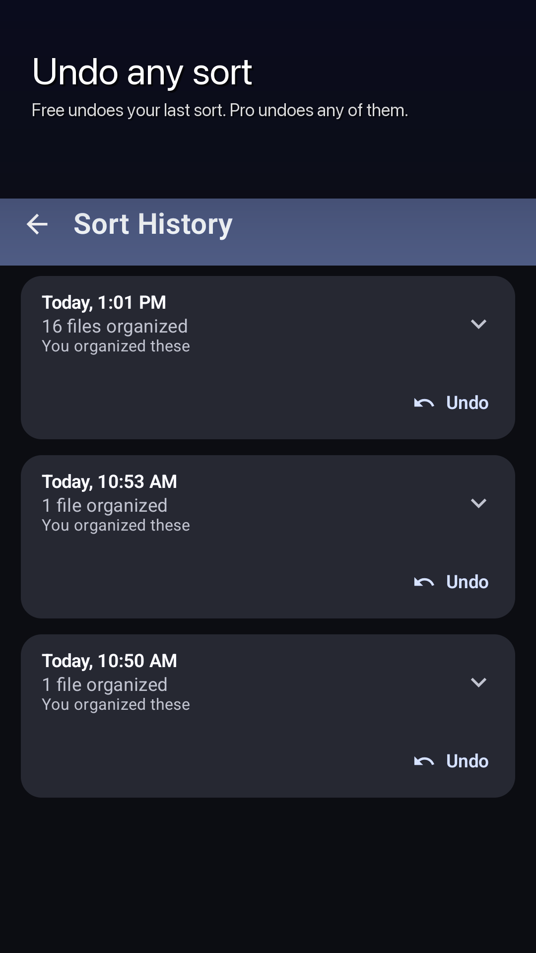 The Sort History screen listing past sorts, each with an Undo action